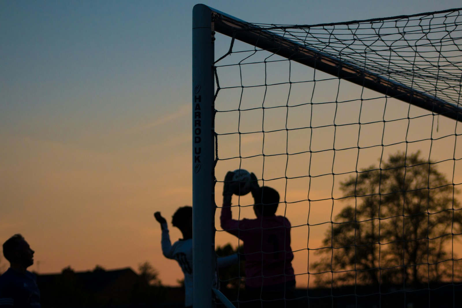 开奖与数据